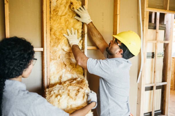 Best Attic Insulation Installation  in Hickory Creek, TX
