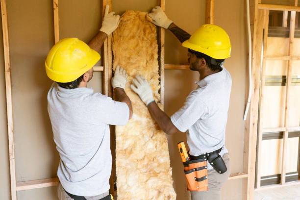 Best Insulation Inspection Services  in Hickory Creek, TX