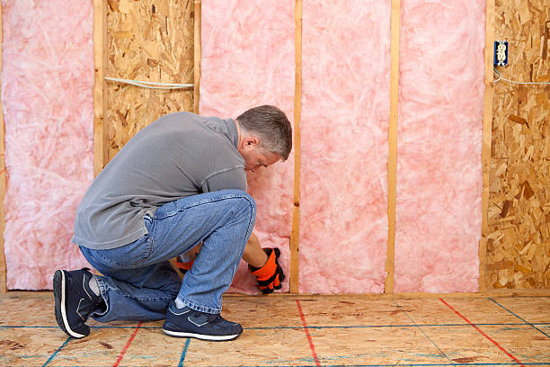 Best Insulation Inspection Services  in Hickory Creek, TX