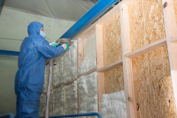 Best Professional Insulation Contractor  in Hickory Creek, TX