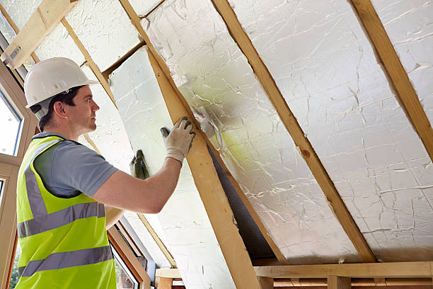 Best Home Insulation Services  in Hickory Creek, TX